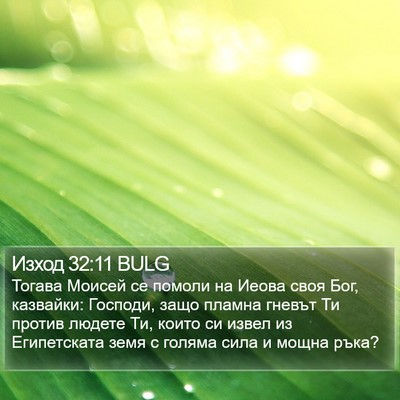 Изход 32:11 BULG Bible Verse Image