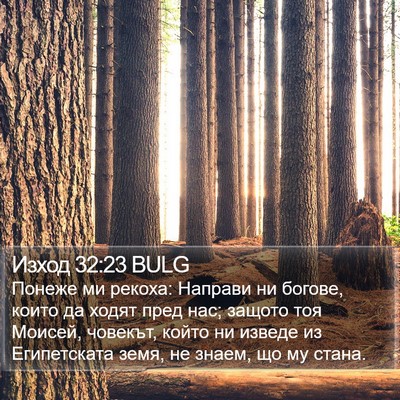 Изход 32:23 BULG Bible Verse Image