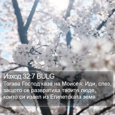 Изход 32:7 BULG Bible Verse Image