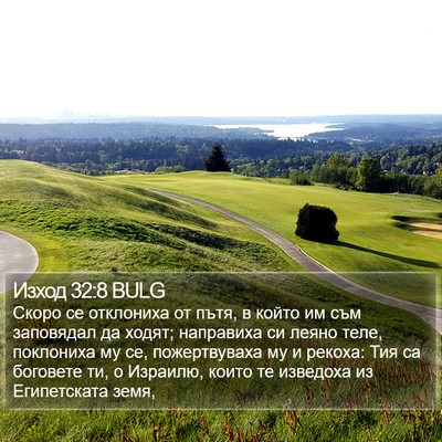 Изход 32:8 BULG Bible Verse Image