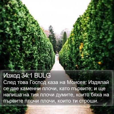 Изход 34:1 BULG Bible Verse Image