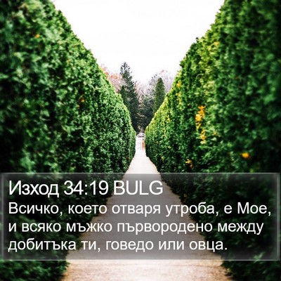 Изход 34:19 BULG Bible Verse Image