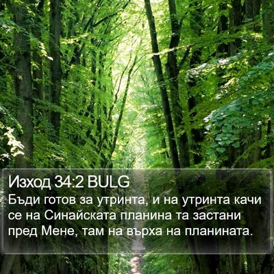 Изход 34:2 BULG Bible Verse Image