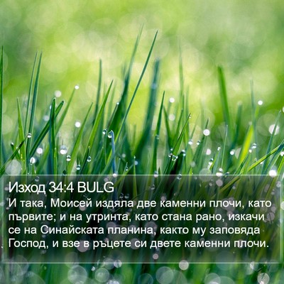 Изход 34:4 BULG Bible Verse Image