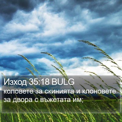 Изход 35:18 BULG Bible Verse Image