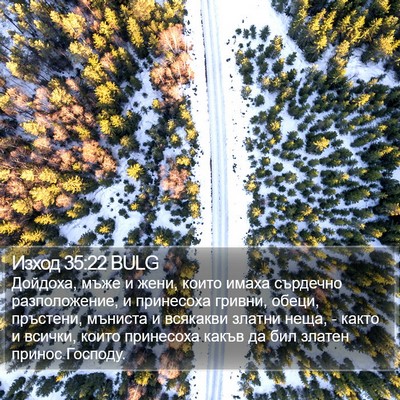 Изход 35:22 BULG Bible Verse Image