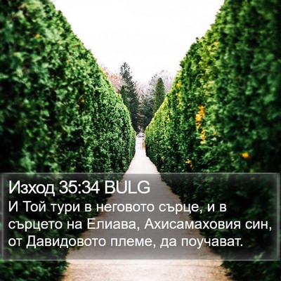 Изход 35:34 BULG Bible Verse Image