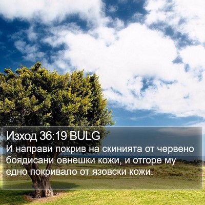 Изход 36:19 BULG Bible Verse Image