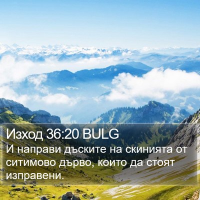 Изход 36:20 BULG Bible Verse Image