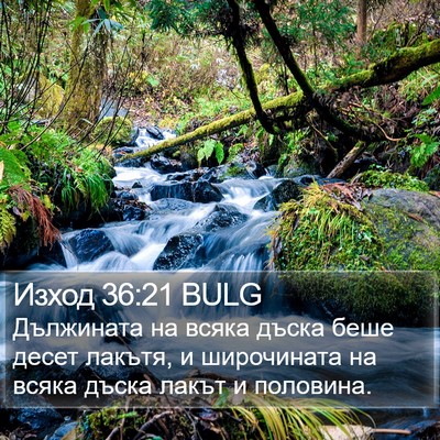 Изход 36:21 BULG Bible Verse Image