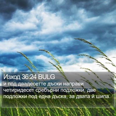 Изход 36:24 BULG Bible Verse Image