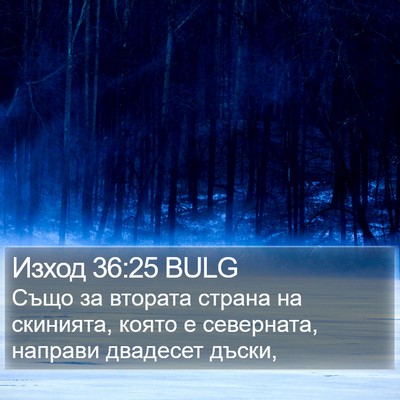 Изход 36:25 BULG Bible Verse Image