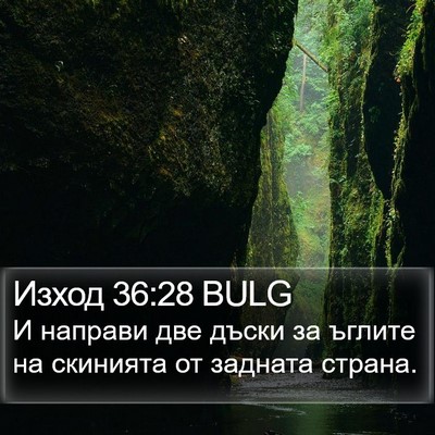 Изход 36:28 BULG Bible Verse Image