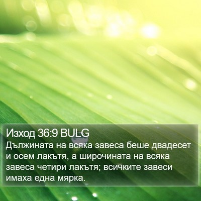 Изход 36:9 BULG Bible Verse Image