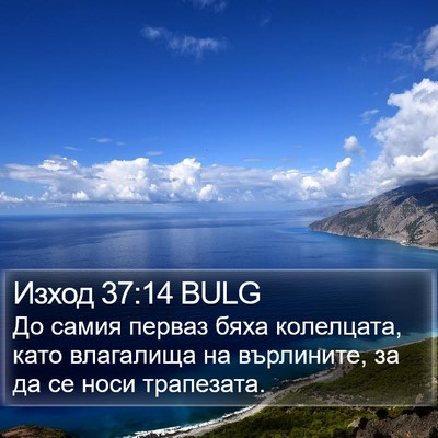 Изход 37:14 BULG Bible Verse Image