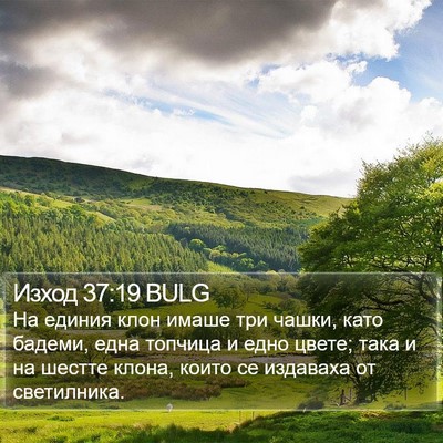 Изход 37:19 BULG Bible Verse Image
