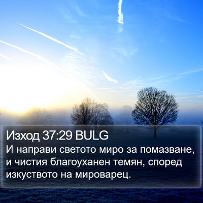 Изход 37:29 BULG Bible Verse Image