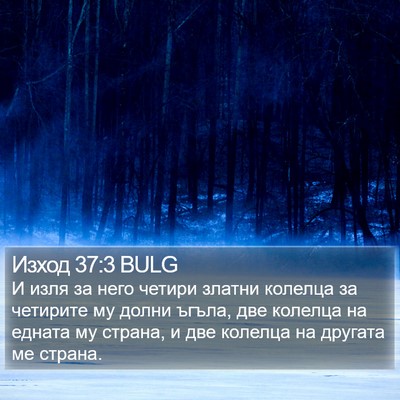 Изход 37:3 BULG Bible Verse Image