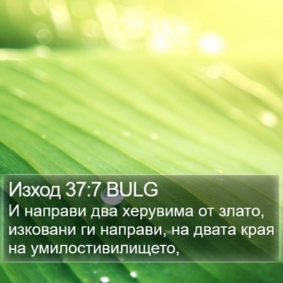 Изход 37:7 BULG Bible Verse Image