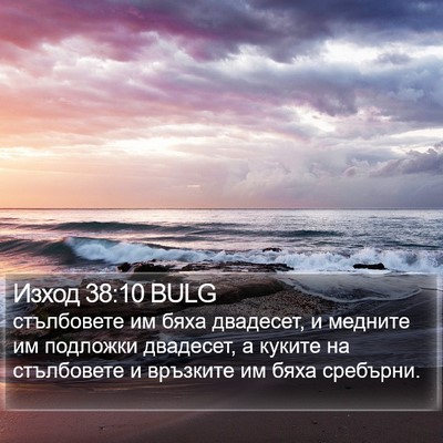 Изход 38:10 BULG Bible Verse Image
