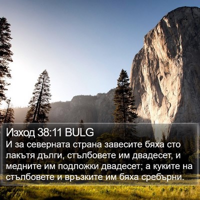 Изход 38:11 BULG Bible Verse Image