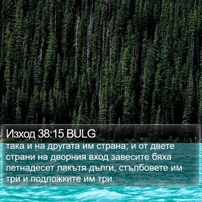 Изход 38:15 BULG Bible Verse Image