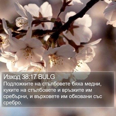 Изход 38:17 BULG Bible Verse Image