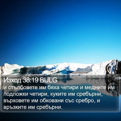 Изход 38:19 BULG Bible Verse Image