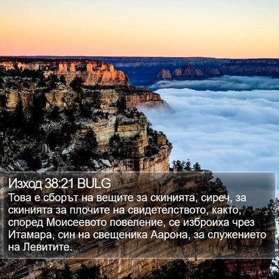 Изход 38:21 BULG Bible Verse Image
