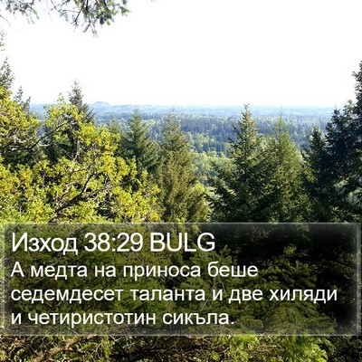 Изход 38:29 BULG Bible Verse Image