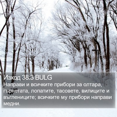 Изход 38:3 BULG Bible Verse Image