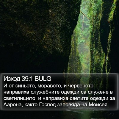 Изход 39:1 BULG Bible Verse Image