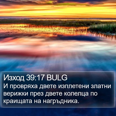 Изход 39:17 BULG Bible Verse Image