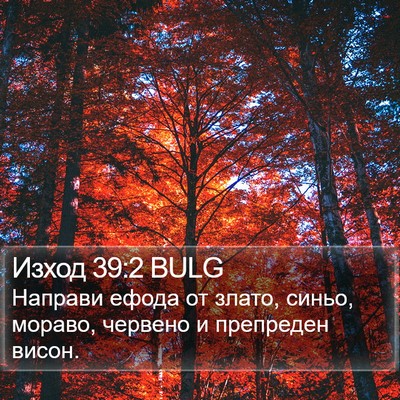Изход 39:2 BULG Bible Verse Image