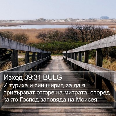Изход 39:31 BULG Bible Verse Image