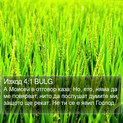 Изход 4:1 BULG Bible Verse Image