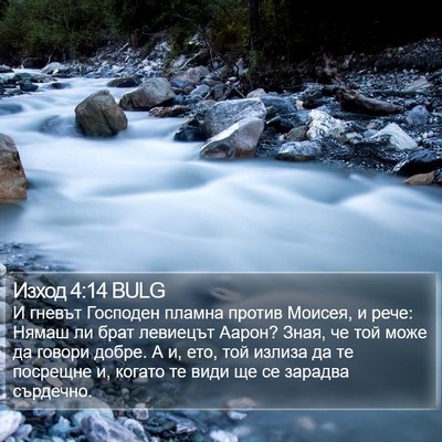 Изход 4:14 BULG Bible Verse Image