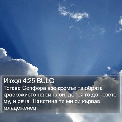 Изход 4:25 BULG Bible Verse Image