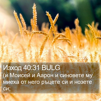 Изход 40:31 BULG Bible Verse Image