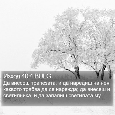Изход 40:4 BULG Bible Verse Image