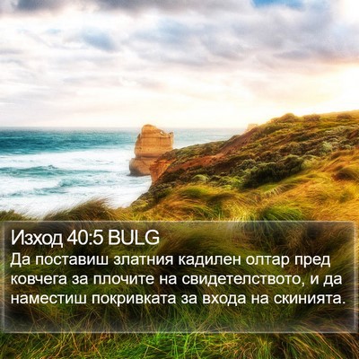 Изход 40:5 BULG Bible Verse Image