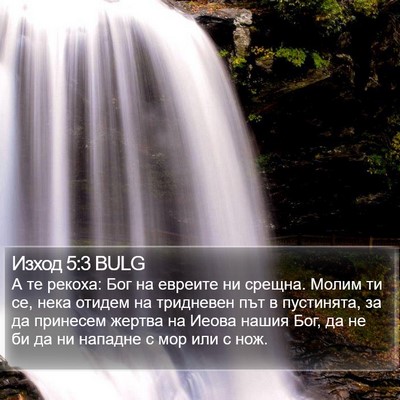 Изход 5:3 BULG Bible Verse Image