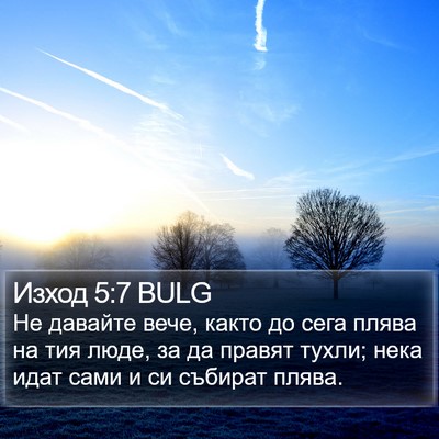 Изход 5:7 BULG Bible Verse Image