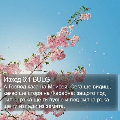 Изход 6:1 BULG Bible Verse Image