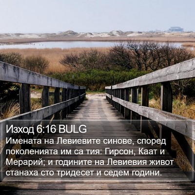 Изход 6:16 BULG Bible Verse Image