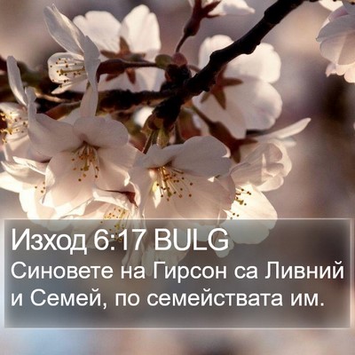 Изход 6:17 BULG Bible Verse Image