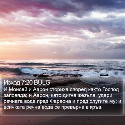 Изход 7:20 BULG Bible Verse Image