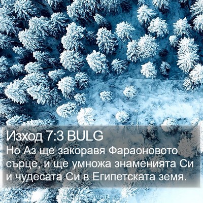 Изход 7:3 BULG Bible Verse Image