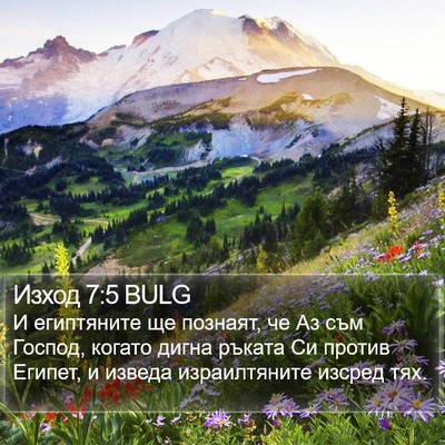 Изход 7:5 BULG Bible Verse Image