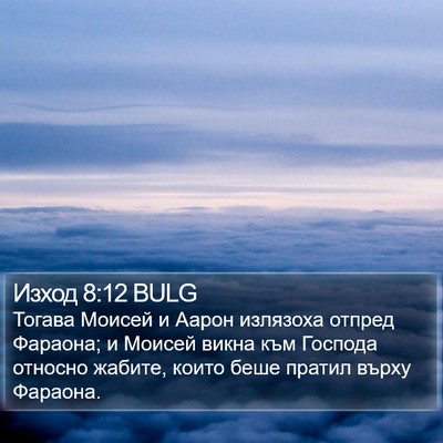 Изход 8:12 BULG Bible Verse Image